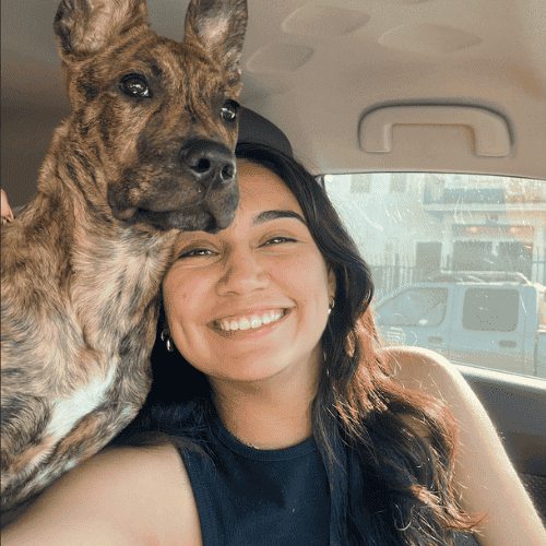 Jocelyn Leon Pet Sitter Dog Walker