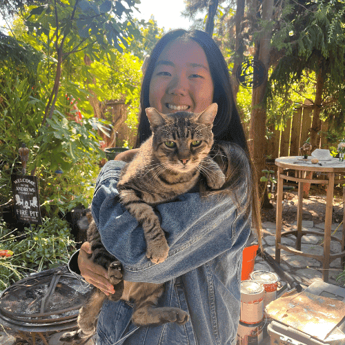 Olivia Andrews Pet Sitter Dog Walker